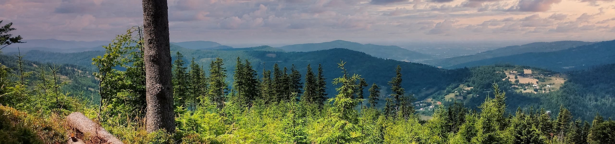Panorama gór w&nbsp;Szczyrku – widok na&nbsp;szczyty i&nbsp;lasy w&nbsp;okolicy Hotelu Alpin